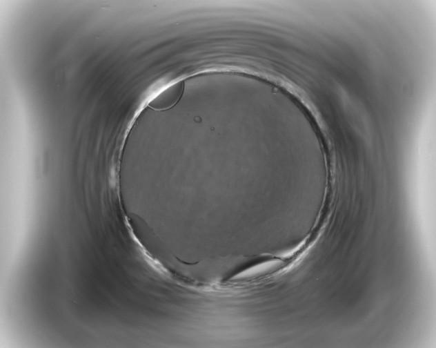 X0000084541529200703161618