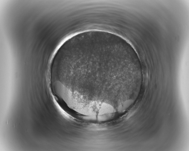 X0000084541531200703161618