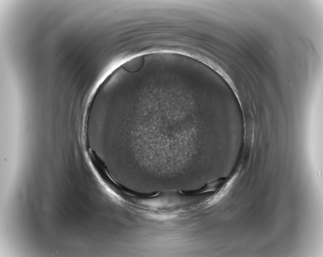 X0000084541533200703161618