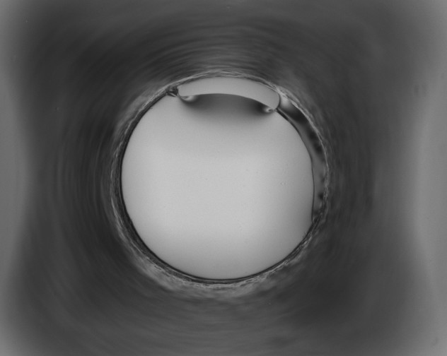 X0000084540001200703231725