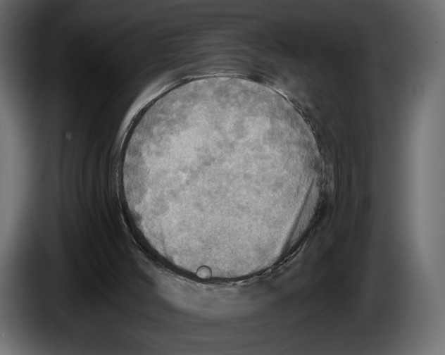 X0000084540004200703231725