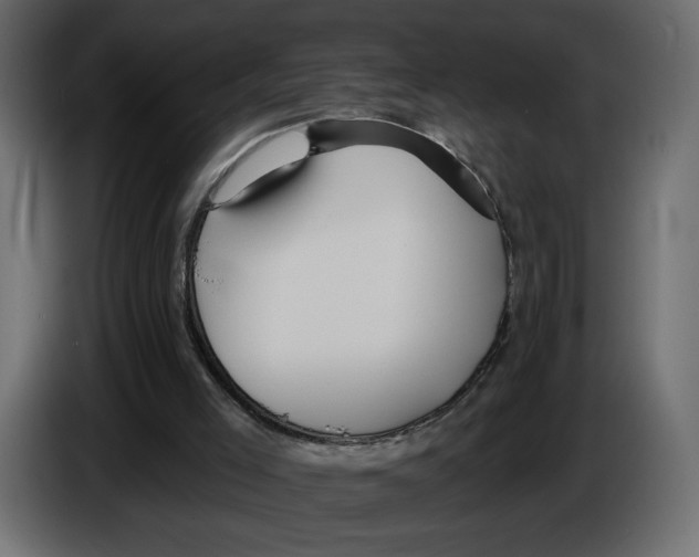 X0000084540005200703231725