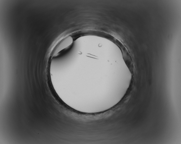 X0000084540007200703231724