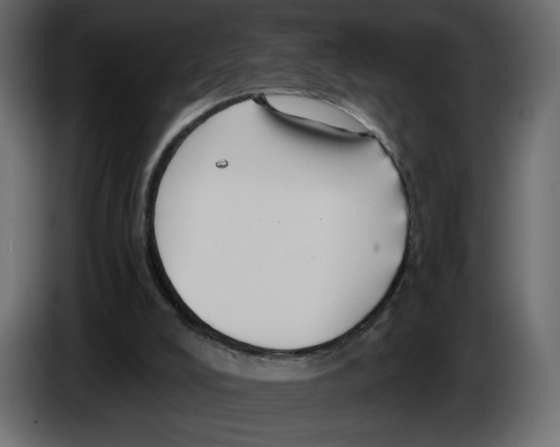 X0000084540008200703231724