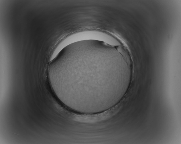 X0000084540009200703231724