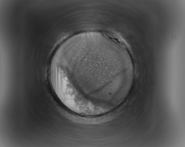 X0000084540010200703231724