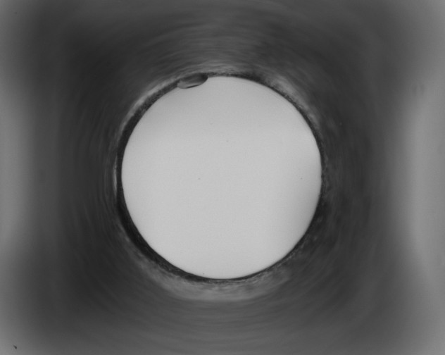 X0000084540011200703231724