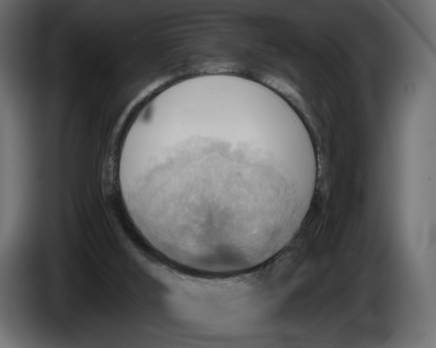 X0000084540012200703231724