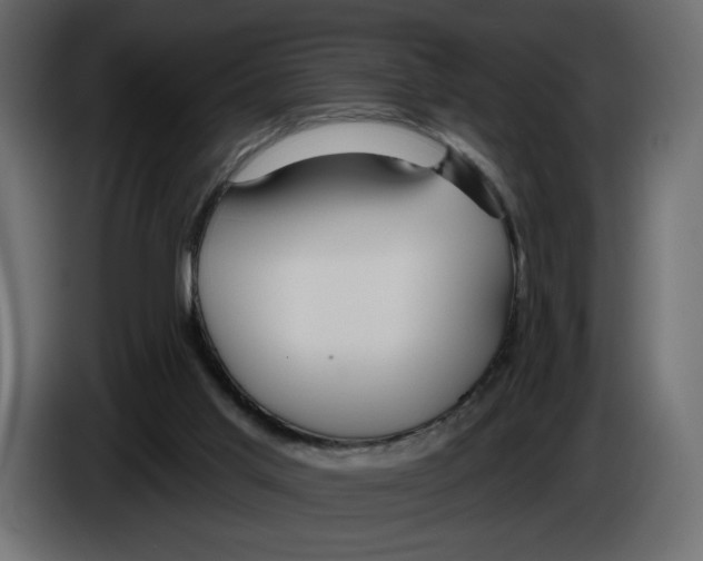 X0000084540013200703231724