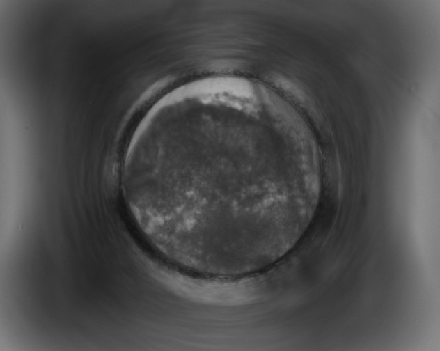 X0000084540016200703231724