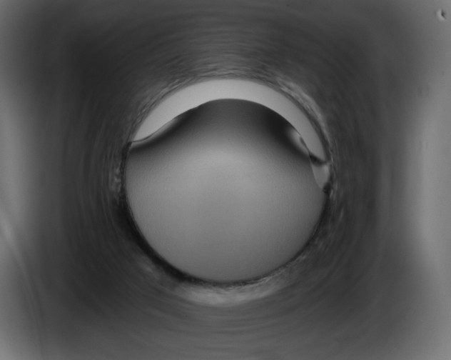 X0000084540017200703231724