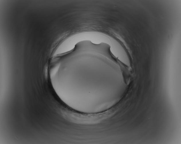 X0000084540019200703231724