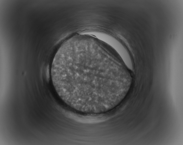 X0000084540020200703231724