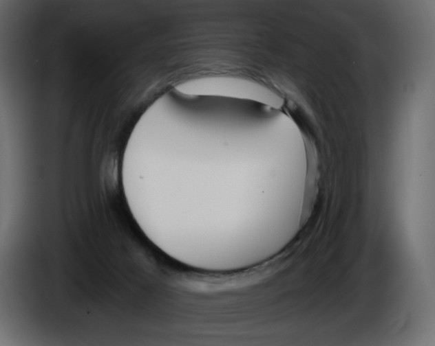 X0000084540021200703231724