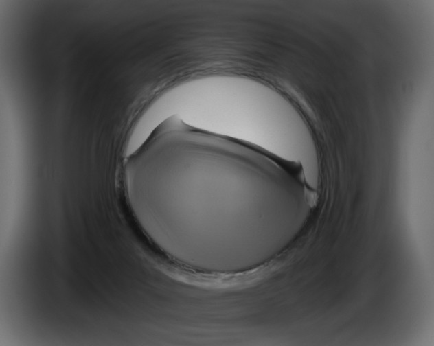 X0000084540023200703231724