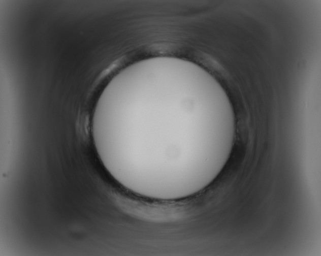 X0000084540024200703231724