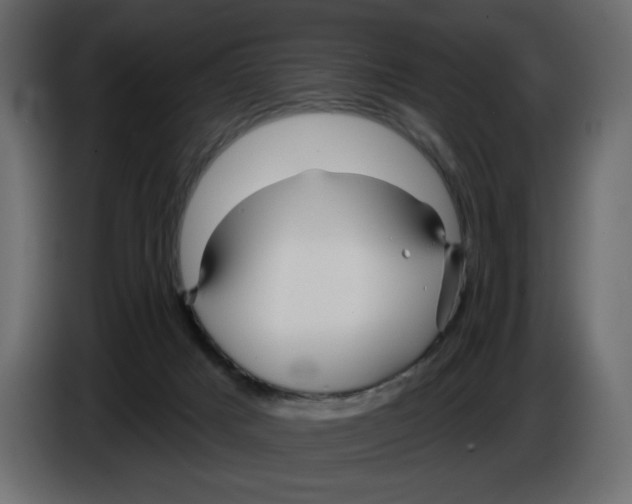 X0000084540025200703231724