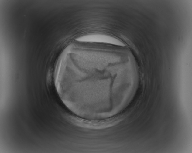 X0000084540026200703231724