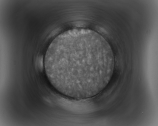 X0000084540028200703231724