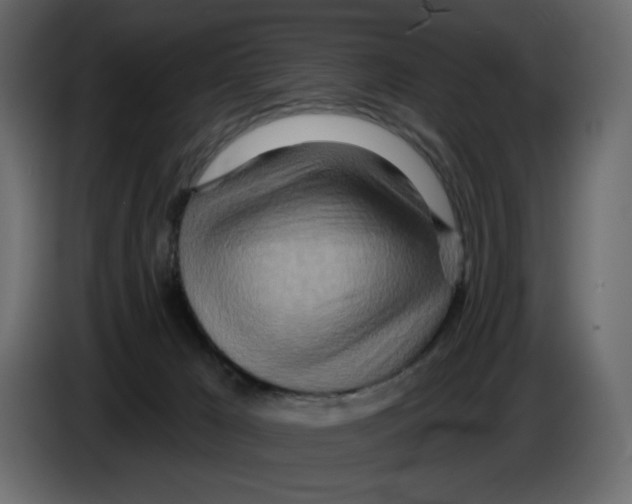 X0000084540029200703231724