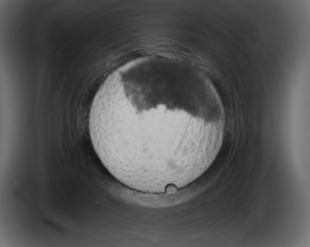 X0000084540030200703231724