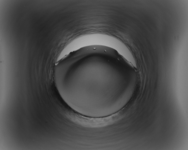 X0000084540031200703231724