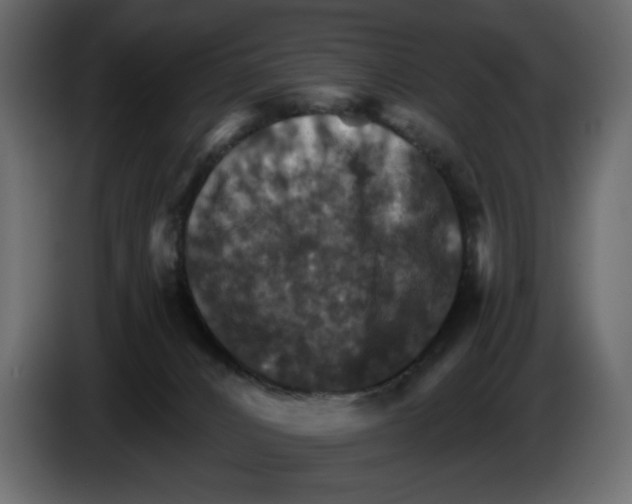 X0000084540032200703231724