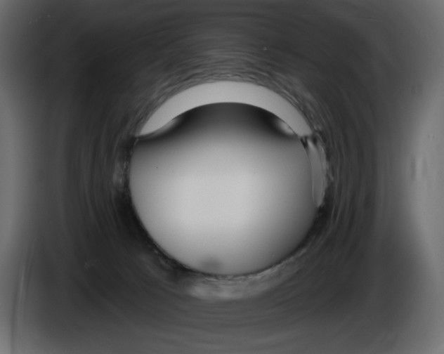 X0000084540033200703231724