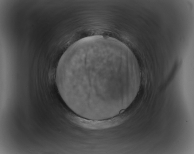 X0000084540034200703231724