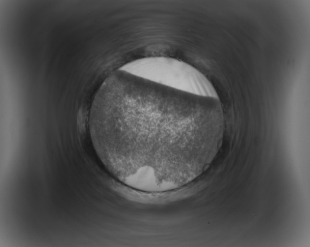 X0000084540038200703231724