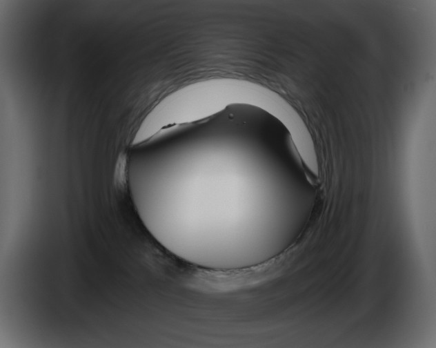 X0000084540041200703231724