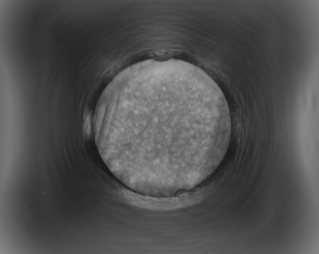 X0000084540042200703231724