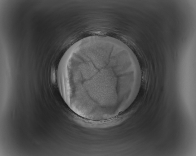 X0000084540046200703231724