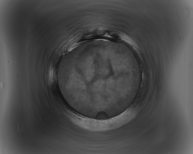 X0000084540048200703231724