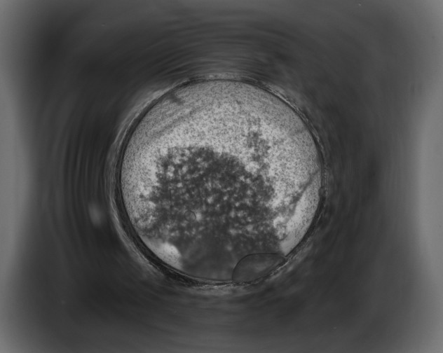 X0000084540049200703231723