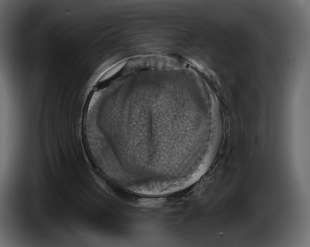 X0000084540051200703231723