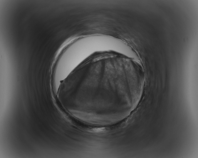 X0000084540054200703231723