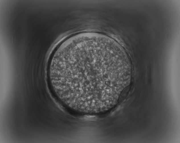 X0000084540055200703231723