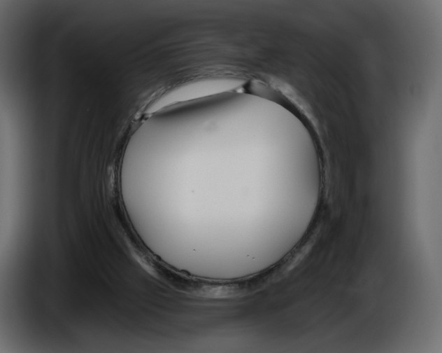 X0000084540057200703231723