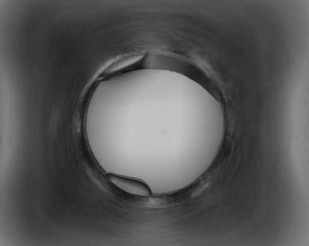 X0000084540060200703231723