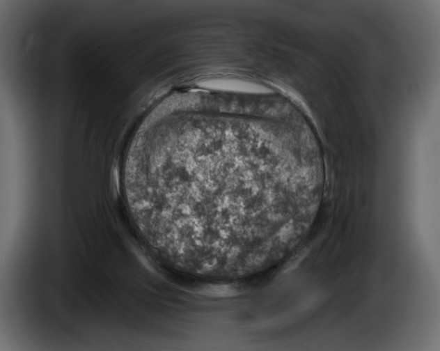 X0000084540061200703231723