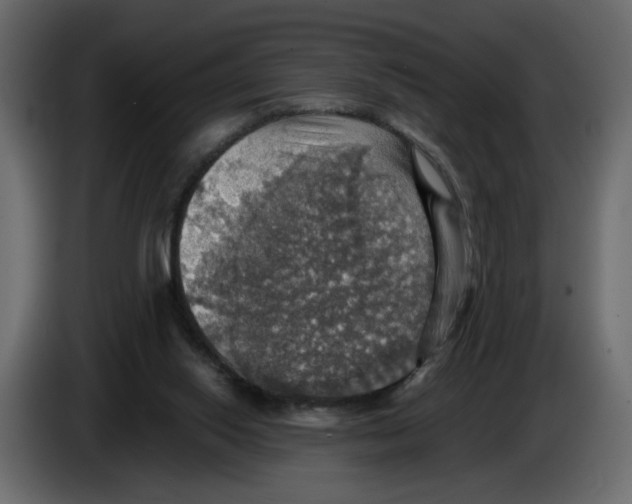 X0000084540062200703231723