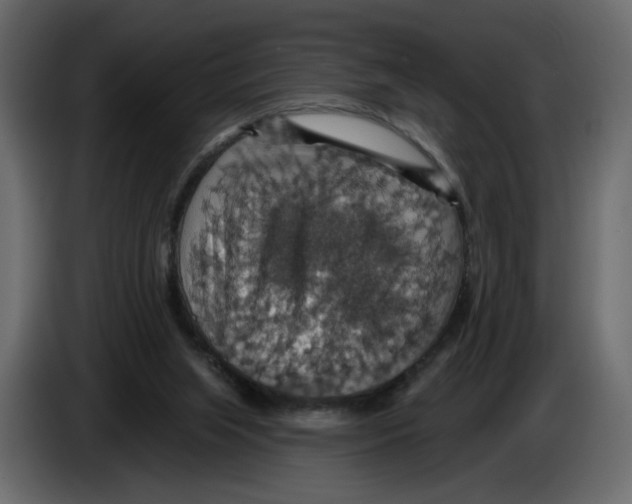 X0000084540063200703231723