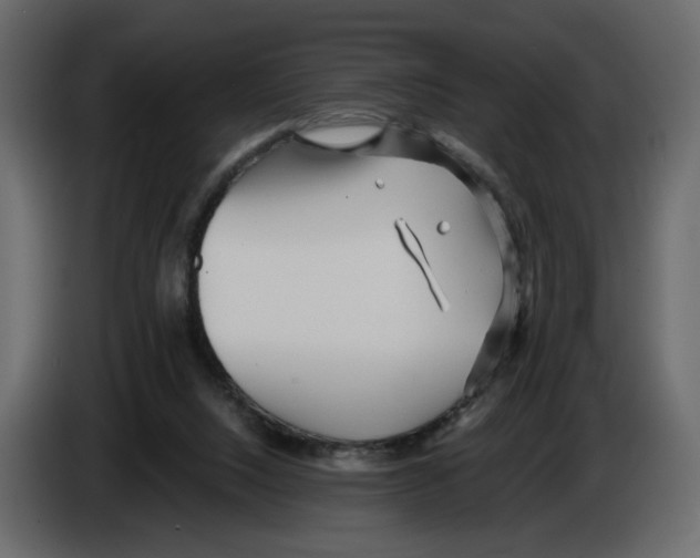 X0000084540064200703231723