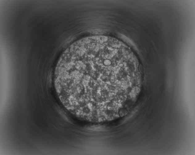 X0000084540065200703231723