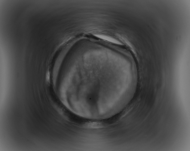 X0000084540067200703231723