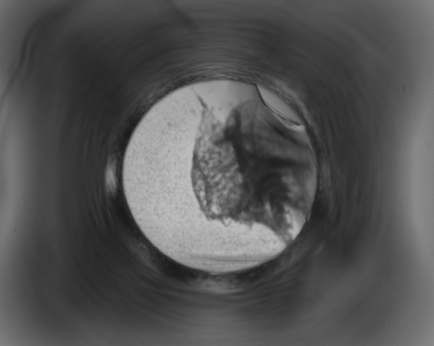 X0000084540069200703231723