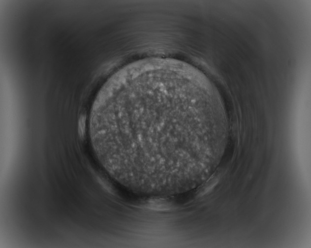 X0000084540070200703231724