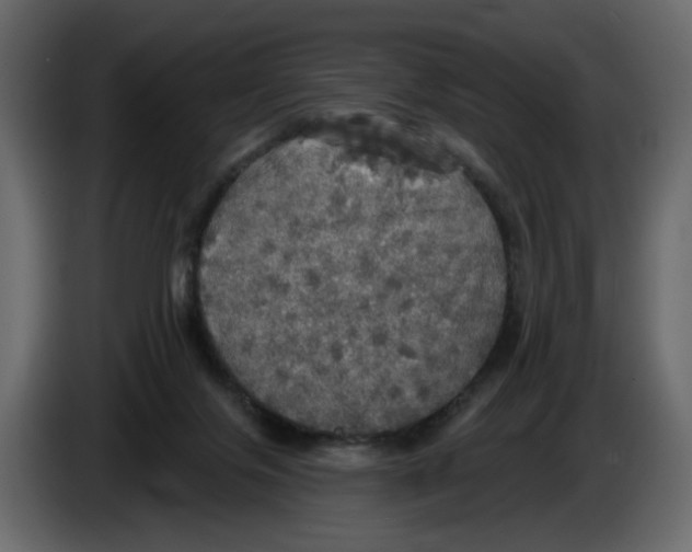 X0000084540071200703231724