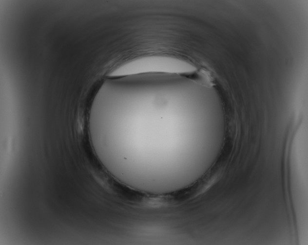 X0000084540072200703231724